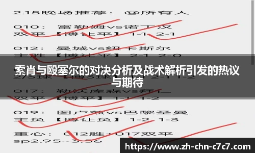 索肖与殴塞尔的对决分析及战术解析引发的热议与期待